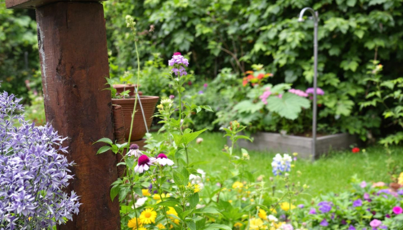 Wie man einen ökologischen Garten pflegeleicht gestaltet?